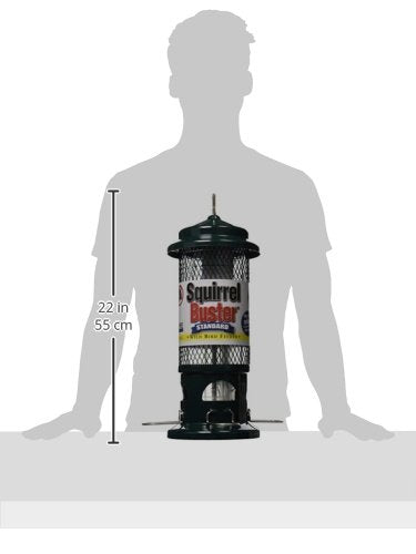 Squirrel Buster Standard Squirrel-proof Bird Feeder w/4 Metal Perches, 1.3-pound Seed Capacity, garden green | Four metal perches, weight-triggered closure, chew-proof design, easy cleaning