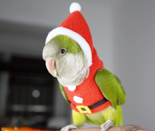 Bird Clothes Birds Flight Suit, Christmas Hoodie for Parrots Cockatiel Sun Conure Christmas Party Cosplay Photo Prop Bird Shirt Small Animals Apparel (Without Diaper,Amazon) - size: Amazon