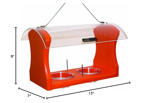 Birds Choice Oriole Bird Feeder | Hanging Bird Feeder for Jelly & Orange Halves | Includes Cup & Fruit Pegs | Recycled Plastic | Sturdy for Garden, Backyard, & Outdoor | 2 Cup Capacity, Orange | Includes Jelly Cup and Fruit Pegs, Recycled Plastic in Orang