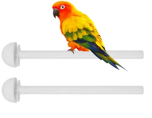 Versatile Divided Travel Vet Carrier Handle Bird Flight Separation Cage for Aviary Finches Canaries Breeder Parrot Breeding with Pull Up Center Divider Side Nest Box Doors - size: 19.0"L x 12.0"W x 14.0"H