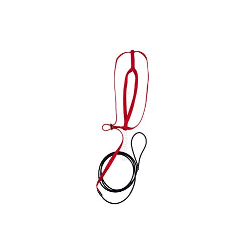 The AVIATOR Pet Bird Harness and Leash: XX-Large Red - color: Red, size: XX-Large