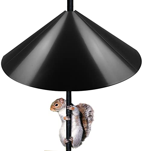 Queension Squirrel Proof Baffle, 19-inch Wide Squirrel Guard Stopper for Outdoor Bird Feeder Poles or Outside Shepherd Hooks, Save Bird Houses from Squirrels, Raccoons, and Rodents, Black, 1 Pack… - style: Pole Mount