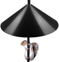 Queension Squirrel Proof Baffle, 19-inch Wide Squirrel Guard Stopper for Outdoor Bird Feeder Poles or Outside Shepherd Hooks, Save Bird Houses from Squirrels, Raccoons, and Rodents, Black, 1 Pack… - style: Pole Mount