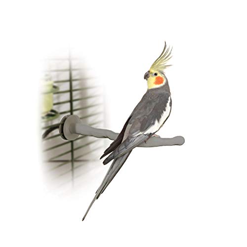 K&H Pet Products Thermo-Perch Heated Bird Perch for Cage, Bird Cage Accessory, Exotic Avian Warming Post for Small/Medium Feathered Friends Like Parakeet, Cockatiel, Canary - Small 1 X 10.5in 12V - size: Small 1 X 10.5 Inches