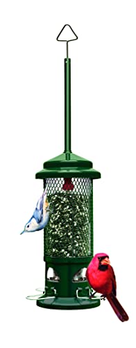 Squirrel Buster Standard Squirrel-proof Bird Feeder w/4 Metal Perches, 1.3-pound Seed Capacity, garden green | Four metal perches, weight-triggered closure, chew-proof design, easy cleaning