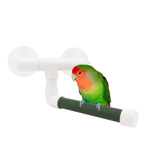 Hypeety Portable Suction Cup Bird Window and Shower Perch Toy Parrot Stand | 2 strong suction cups, parrot bath perch, easy to install, fits windows/shower tile, for budgies/parakeets/lovebirds, green