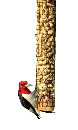 Backyard Birds Unlimited Cedar Whole in-Shell Peanut Outdoor Hanging Wild Bird Feeder Made in the USA-Medium 32" Inch - size: Medium