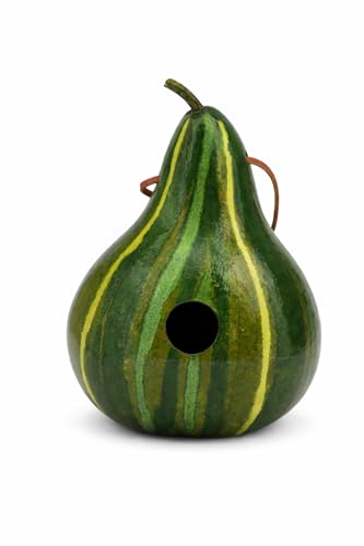 Green Striped Gourd Birdhouse, Hand Dyed Emerald Ink, 9–11 Inch Natural Gourd, 1.5" Entrance Hole for Wrens & Chickadees, Hanging Outdoor Bird House, Handmade Garden Decor