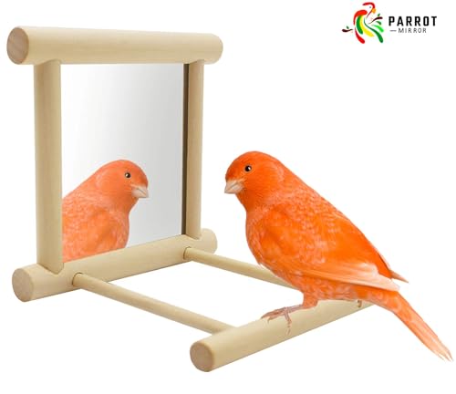 Blessed Family 2 Piece Bird Parakeet Mirror for Cage,Parrot Perch Stand,Wooden Hummingbird Swing Toy,Parakeet Accessories for Cockatiels Conure Finch Lovebird Canary African Grey Macaw