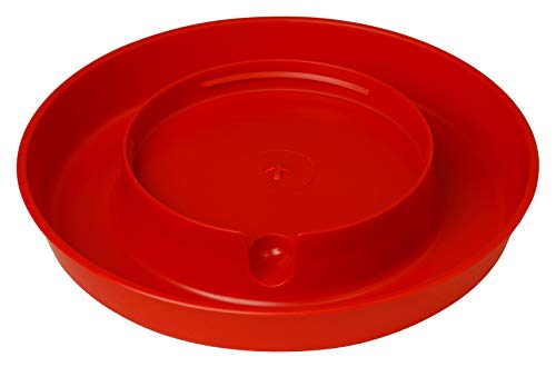 Little Giant® Screw-On Poultry Waterer Base | Heavy Duty Plastic Water Tray Base for Container | Chicken Waterer Screw On Base | 1 Gallon (Red, Pack of 1) - color: Red