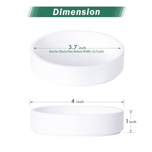 Phoenix Vine 4 Inch Plastic Plant Saucer Water Drip Tray, Heavy Sturdy Round Plant Drainage Tray for Indoors Outdoor, Matte White, 21-TY-4W-1 - size: 4"