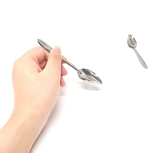 Honbay 4PCS Stainless Steel Bird Feeder Spoons Parrot Feeding Scoops Hand Feeding Spoons for Parrot