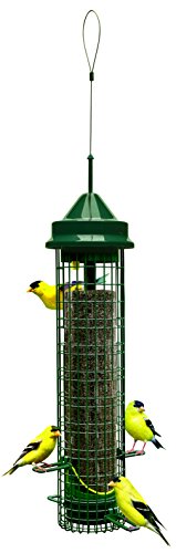 Squirrel Buster® Nyjer® – Squirrel-Proof Nyjer®/Thistle 2.4-pound Seed Capacity Feeder w/8 Feeding Ports & 4 Perches, Easy Fill & Clean, Durable Outdoor Feeder for Finches, Goldfinches & Small Birds | Eight ports, four perches, easy-fill design, UV-resist
