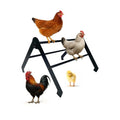 Chicken Roosting Bars for Coop – Adjustable Stainless Steel Chick Perch and Ladder for Poultry, Chicks and Birds, Easy to Install and Clean, Ideal for Coops, Farms, and Backyard