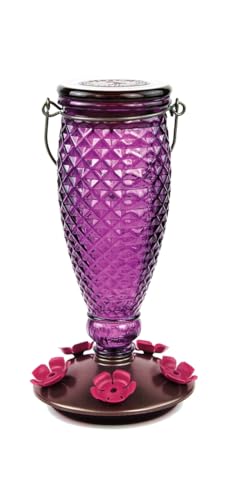 Perky-Pet Diamond Wine Top Fill Glass Hummingbird Feeder, 24 oz Capacity | Built-in Bee Guards for Outdoors, Purple Hanging Wild Bird Feeder, Easy to Clean