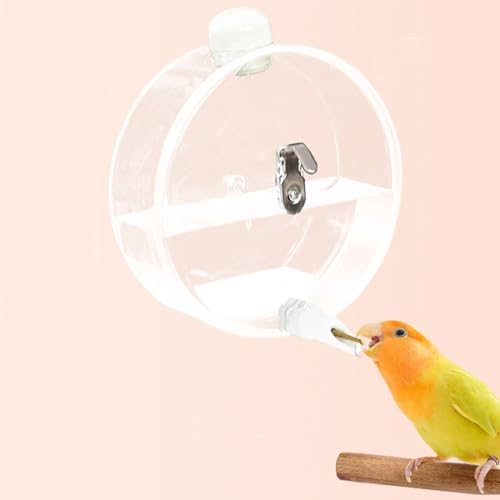 Birds Water Dispenser 350ml Portable Hangable Birds Water Feeder Pet Supplies Transparent Pet Bird Water Bottle Lovebird