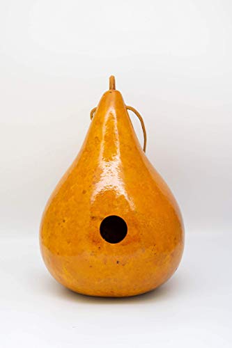 Natural Gourd Birdhouses Set of 3 – Hanging Bird Houses for Wrens & Small Birds, 1.5 Inch Entrance, Outdoor Nesting Gourds, Weather-Sealed