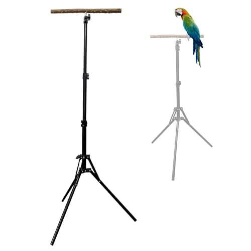 kathson 28-60inches Height Adjustable Bird Perch, Pepperwood Parrot Perch Stand, Multi-Purpose Bird Perches for Indoor and Outdoor Use, Designed for Small Medium Birds - size: Bird Perch Only (1 Piece)