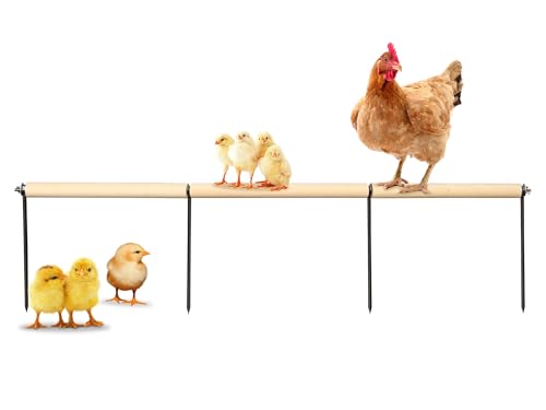 Chicken Coop Accessories, Extra Long Wooden Chicken Roosting Perch with Metal Stakes, Roosting Bars for Chickens in Coop, Chicken Enrichment Toys