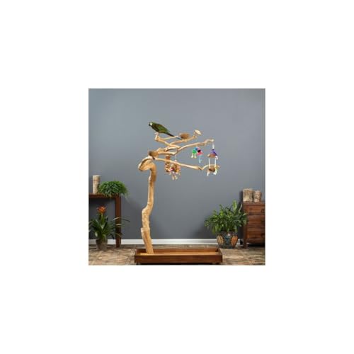 HomeStock Asian Fusion CoffeeWood Tree-Style Parrot Play Stand with Natural Design, Durable Perches, Feeding Bowls, and Spacious Activity Area for Birds Medium - size: Medium
