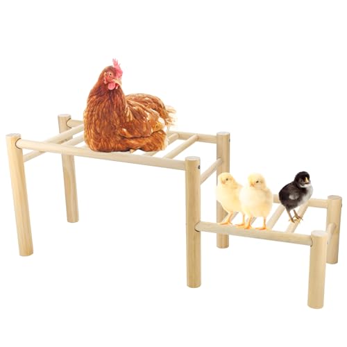 Chicken Perch - Roosting Ladder for Chicken Coop - Jungle Gym & Toys for Poultry