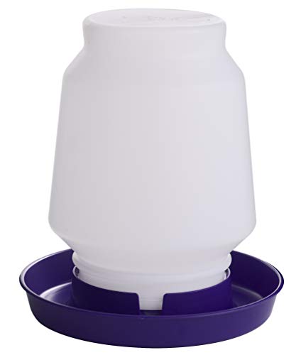 Little Giant® Screw-On Poultry Waterer Base | Heavy Duty Plastic Water Tray Base for Container | Chicken Waterer Screw On Base | 1 Gallon (Purple, Pack of 1) - color: Purple