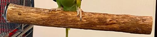 Polly's Single Bolt Hardwood Cage Perches Made in USA for Budgies, Parakeets, Cockatiels, Greys, Amazons, Blue & Gold Macaws, Cockatoos, Green Wing Macaws & Hyacinths. (X-Large) - size: X-Large
