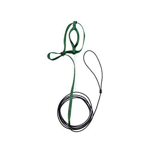 The AVIATOR Pet Bird Harness and Leash: Petite Green - color: Green, size: Petite