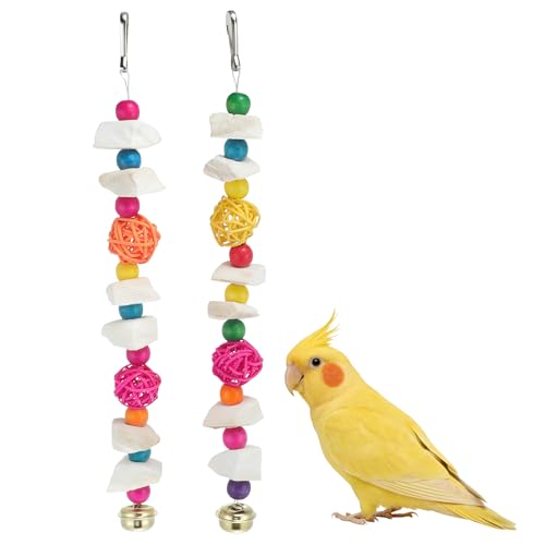Bird Toys with Cuttlebone, Grinding Stone for Bird, 2 Pcs, C | Prevent Destructive Chewing, Colorful，White - style: Style C