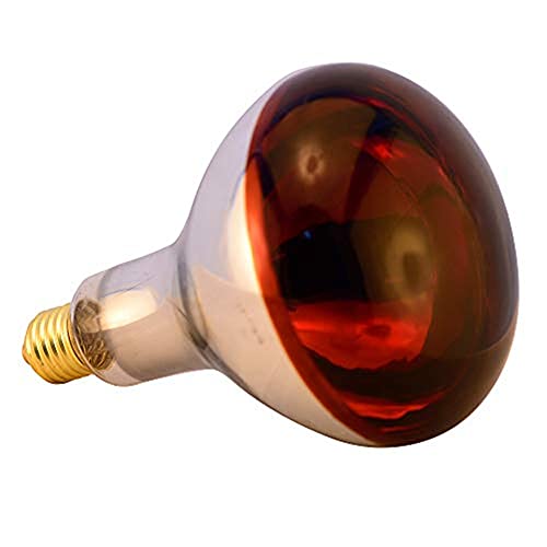 Heat Lamp Bulb R115 125 Watt 2 Pack Infrared Glass Lamp Bulb for Food Service, Brooder Bulb, Chicks, Pet, Bathroom, Light Therapy, Reptiles and Amphibian Use E26 Base - style: R115/125W
