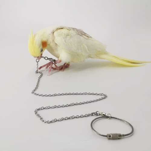 Bird Foot Chain Flying Stainless Steel Training Rope Outdoor Parrot Ankle Foot Ring Accessories Bird Harness Leash Prevent Escaping (Model12) - size: Model12