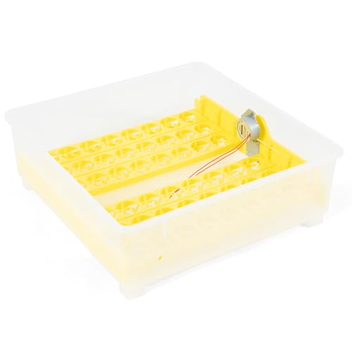Egg Incubator Automatic Digital Hatcher Machine with Turning Temperature | Control for Hatching Chicken Duck Goose Quail (48 Eggs) - size: 48 Eggs