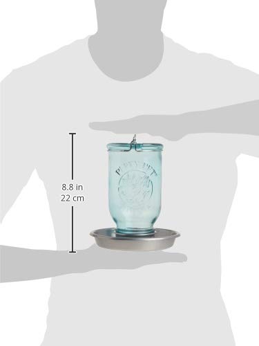 Perky-Pet 1 Mason Jar Wild Bird Waterer 783, Blue - size: 1Pack