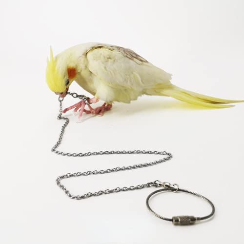 Bird Foot Chain Flying Stainless Steel Training Rope Outdoor Parrot Ankle Foot Ring Accessories Bird Harness Leash Prevent Escaping (Model5) - size: Model5