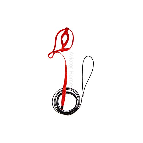 The AVIATOR Pet Bird Harness and Leash: Mini Red - color: Red, size: Mini