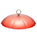 Kingsyard Weather Squirrel Baffle for Bird Feeder Hanging, Rain Guard Cover | 11.5 in, Made of Sturdy Plastic, Metal Hook, Ready to Use, Fits Most Feeders Outdoors, Weatherproof, Easy to Clean, Red - color: Red