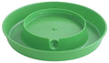 Little Giant® Screw-On Poultry Waterer Base | Heavy Duty Plastic Water Tray Base for Container | Chicken Waterer Screw On Base | 1 Gallon (Lime Green, Pack of 1) - color: Lime Green
