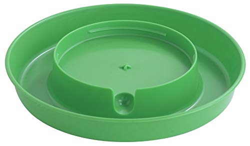 Little Giant® Screw-On Poultry Waterer Base | Heavy Duty Plastic Water Tray Base for Container | Chicken Waterer Screw On Base | 1 Gallon (Lime Green, Pack of 1) - color: Lime Green