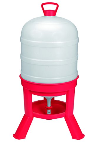 Little Giant® Plastic Dome Waterer | Heavy Duty Plastic Gravity Fed Poultry Waterer Container Tank | Chickens, Ducks & Other Birds for Hobbyists, Farmers and Ranchers | 10 Gallon | Heavy-Duty Plastic Container, Water Dispenser Tank for Chickens, Ducks, an