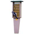 Birds Choice Pileated Suet Feeder with Tail Prop, Holds 2 Suet Cakes | Hanging Suet Bird Feeder for Woodpeckers, Jays, Nuthatches | Sturdy for Garden & Backyard | Taupe & Green, 8" L x 3" W x 22.5" H | Hanging Feeder for Woodpeckers, Jays and Nuthatches,