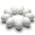 Wooden Fake Eggs, 9 PCS White Easter Eggs | Artificial Eggs for Nesting Box, Crafts, DIY Project, Decorating, Paintable, Pretend Kitchen Accessories