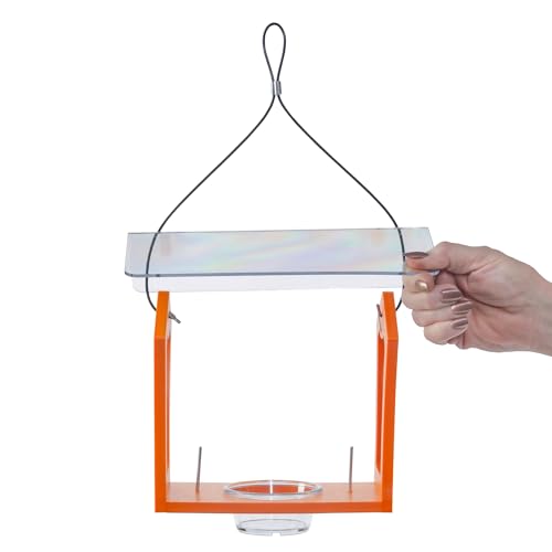 Birds Choice Oriole Bird Feeder | Hanging Bird Feeder for Jelly & Orange Halves | Includes Cup & Fruit Pegs | Recycled Plastic | Sturdy for Garden, Backyard, & Outdoor | 3/4 Cup Capacity, Orange | Includes Jelly Cup and Fruit Pegs, Recycled Plastic, Sturd