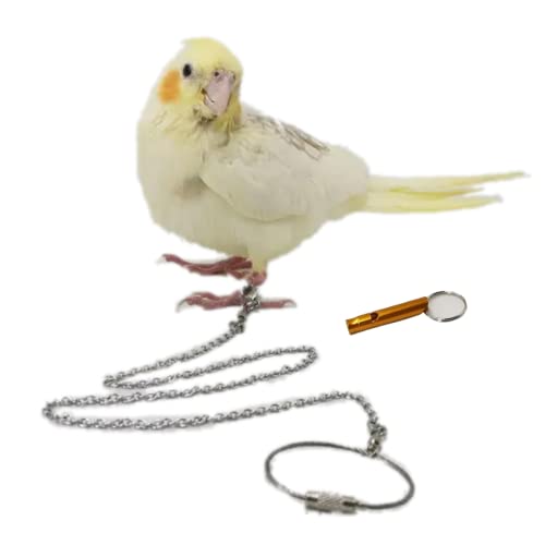 Bird Foot Chain Flying Stainless Steel Training Rope Outdoor Parrot Ankle Foot Ring Accessories Bird Harness Leash Prevent Escaping (Model5) - size: Model5