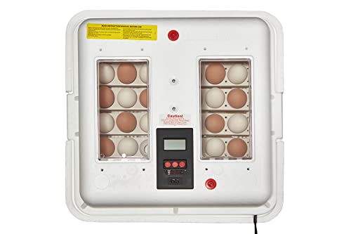 Little Giant Deluxe Incubator w/Egg Turner