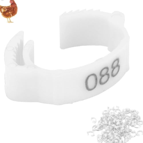 100PCS Chicken Leg Rings, 5 Colors Chicken Leg Bands Readable Numbered Chicken Identification Leg Bands Card Slots Design for Chicks Ducks (White (100 Pieces per Pack)) - color: White (100 Pieces Per Pack)