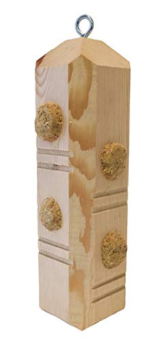 Suet Plus Plug Pine Feeder, Bevel Cut Post