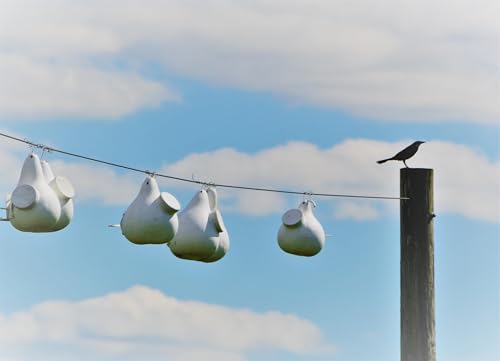 Purple Martin Gourd Birdhouse – 12–14″ Tall, 2″ Entrance Hole, Side Clean-Out, White, Ready to Hang