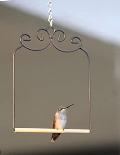 2 Pack Hummingbird Swing Metal Frame Hummingbird Perch Wild Bird Swing with Wooden Dowel for Hanging Outside