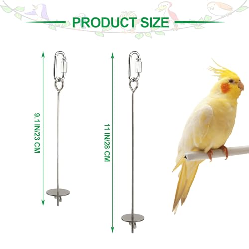 2 Pcs Bird Cage Food Holder Stainless Steel Parrot Fruit & Vegetable Skewer Hanging Foraging Toy for Parakeets, Budgies, Macaws - size: 2 Pcs