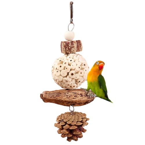 Bird Chew Toy for Pet Bird Parrot Sola Ball Natural Nuts Pinecone Chewing Toy for Small Parakeet Cockatiel Conures Finch Budgie (S) - size: S